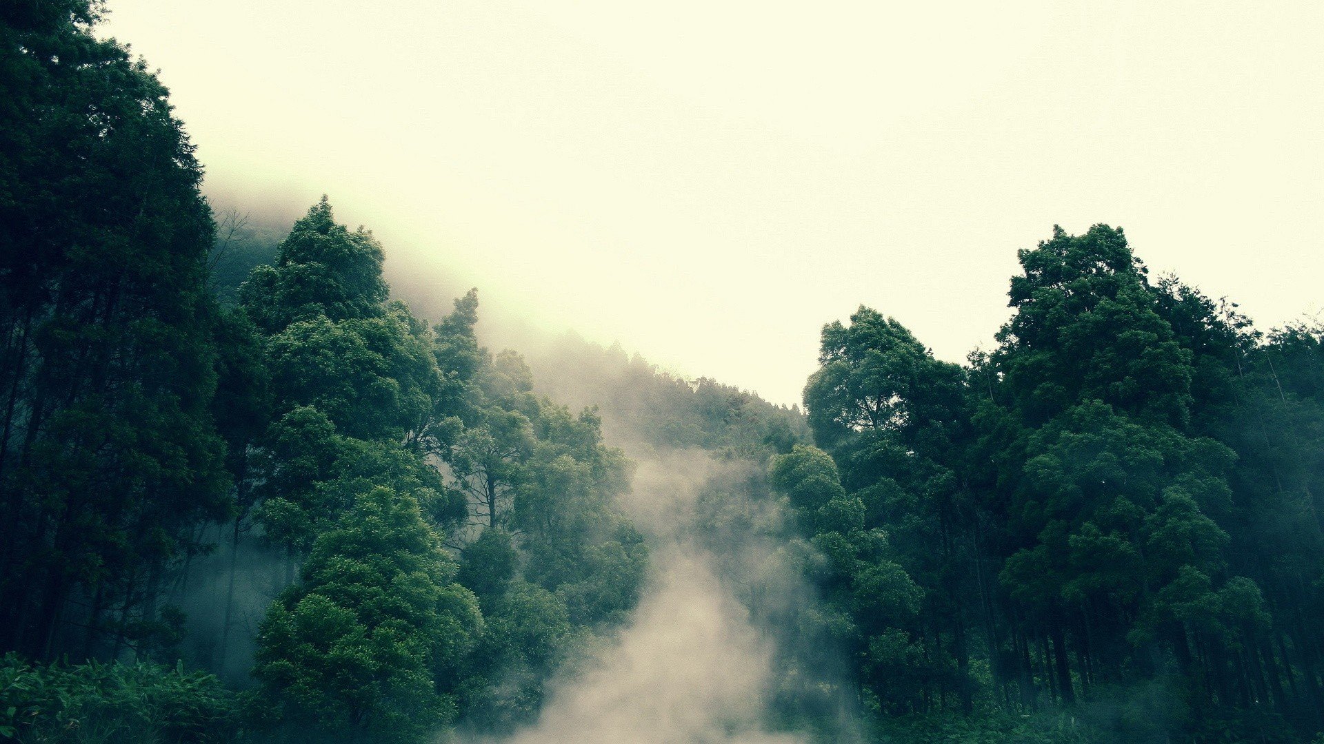landscapes, Nature Wallpaper