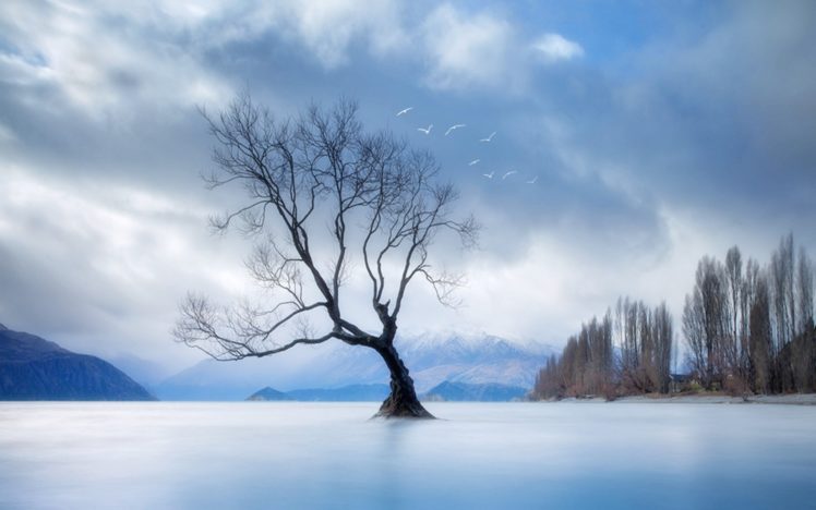 landscapes, Nature, Winter, Lakes HD Wallpaper Desktop Background