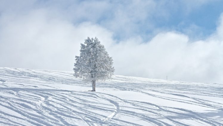 mountains, Winter, Snow, Trees, Sky, Clouds HD Wallpaper Desktop Background
