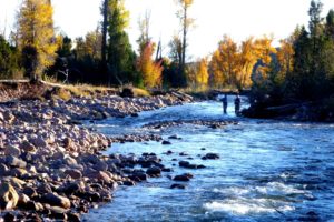fishing, Fish, Sport, Water, Fishes, River, Autumn