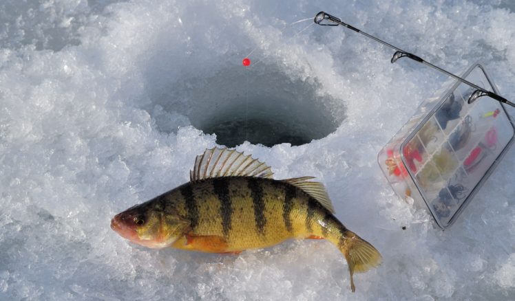 fishing, Fish, Sport, Water, Fishes, Ice, Winter HD Wallpaper Desktop Background