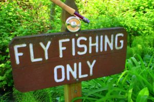 fishing, Fish, Sport, Water, Fishes, Sign, Humor