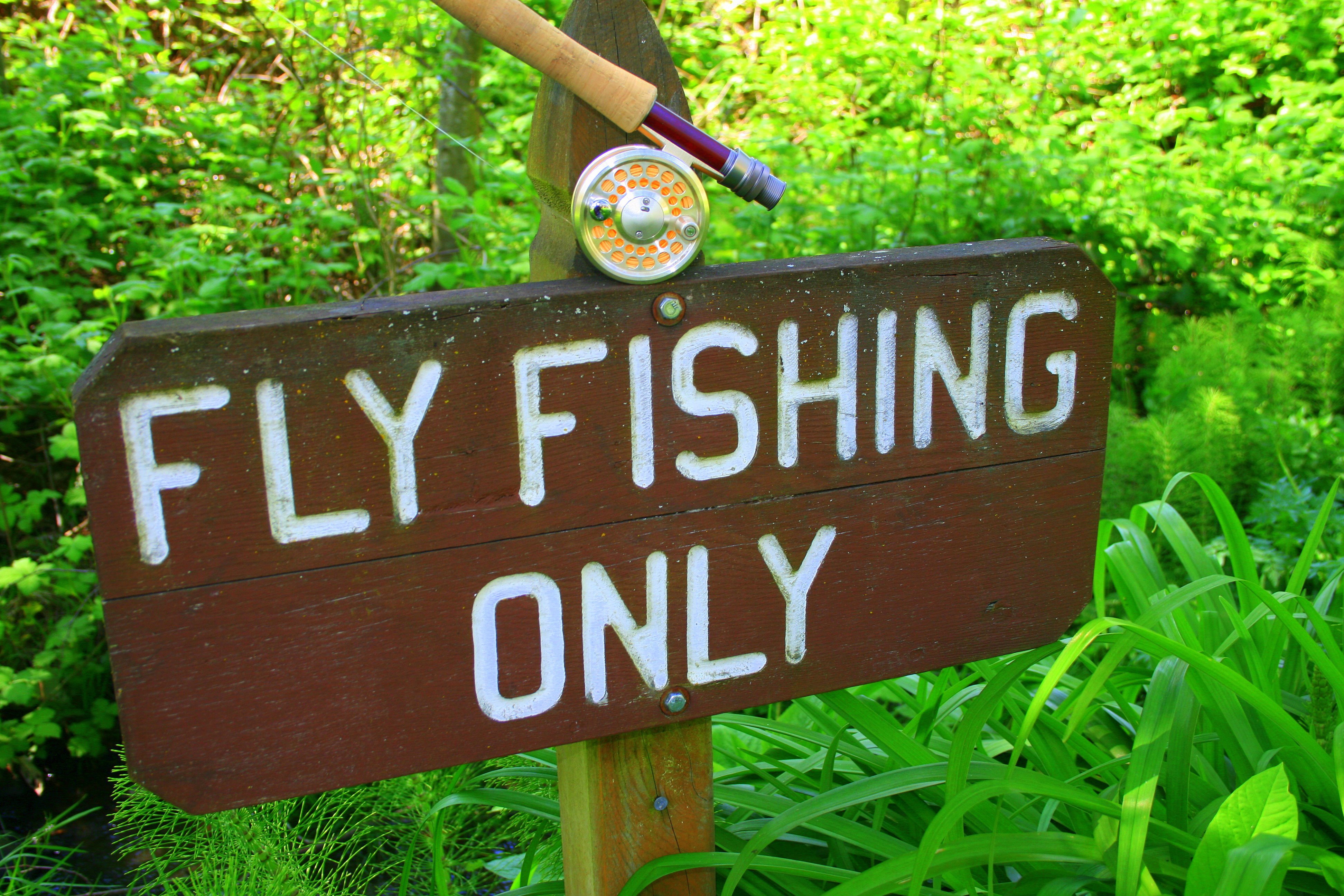 fishing, Fish, Sport, Water, Fishes, Sign, Humor Wallpaper