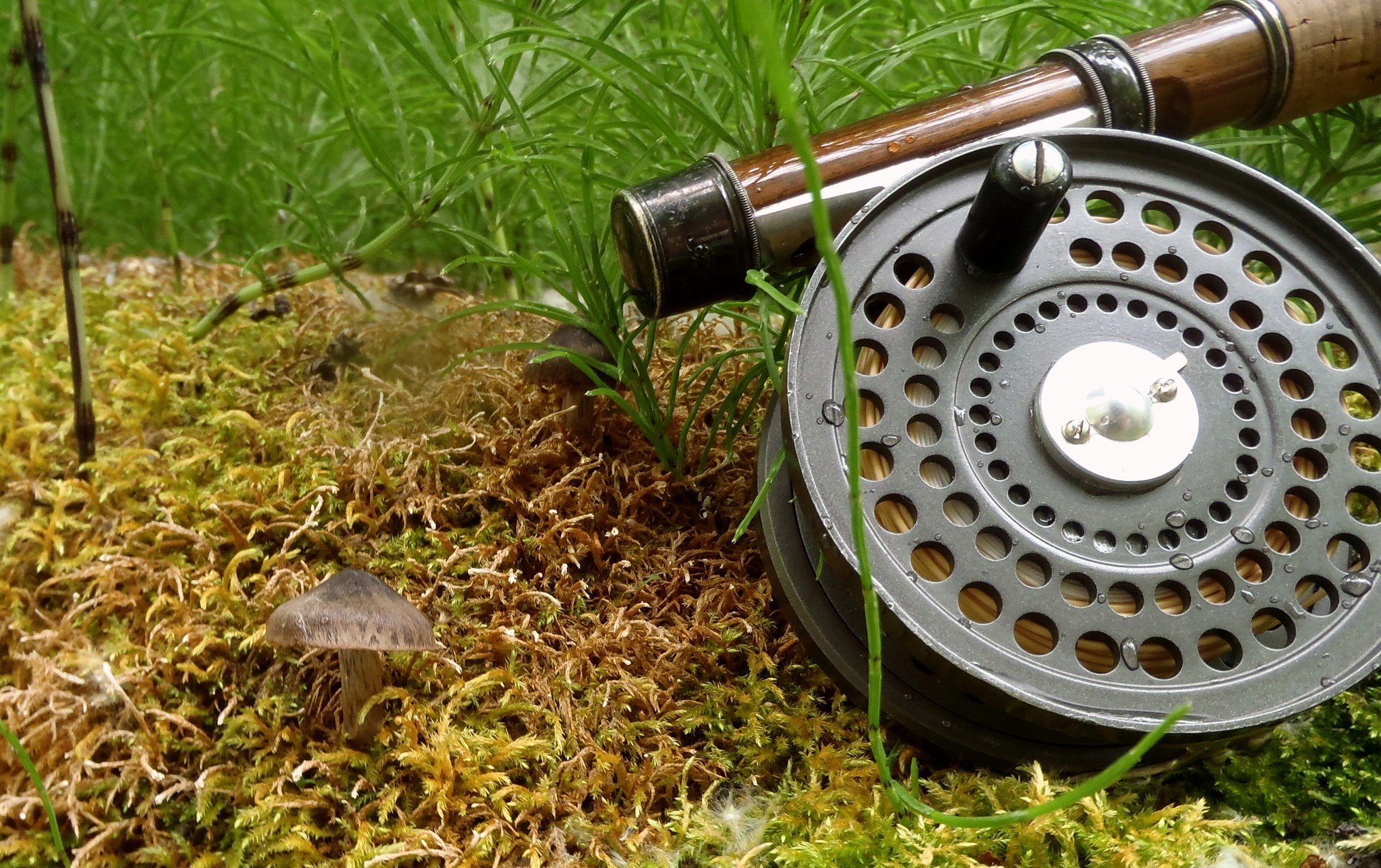 fishing, Fish, Sport, Water, Fishes Wallpaper