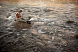 fishing, Fish, Sport, Water, Fishes, River, Mood