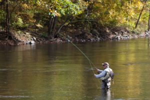 fishing, Fish, Sport, Water, Fishes, River, Autumn