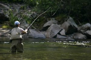 fishing, Fish, Sport, Water, Fishes, River