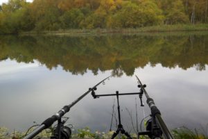 fishing, Fish, Sport, Water, Fishes, River, Lake, Autumn