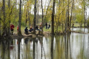fishing, Fish, Sport, Water, Fishes, River, Lake, Autumn, Forest, Crowd