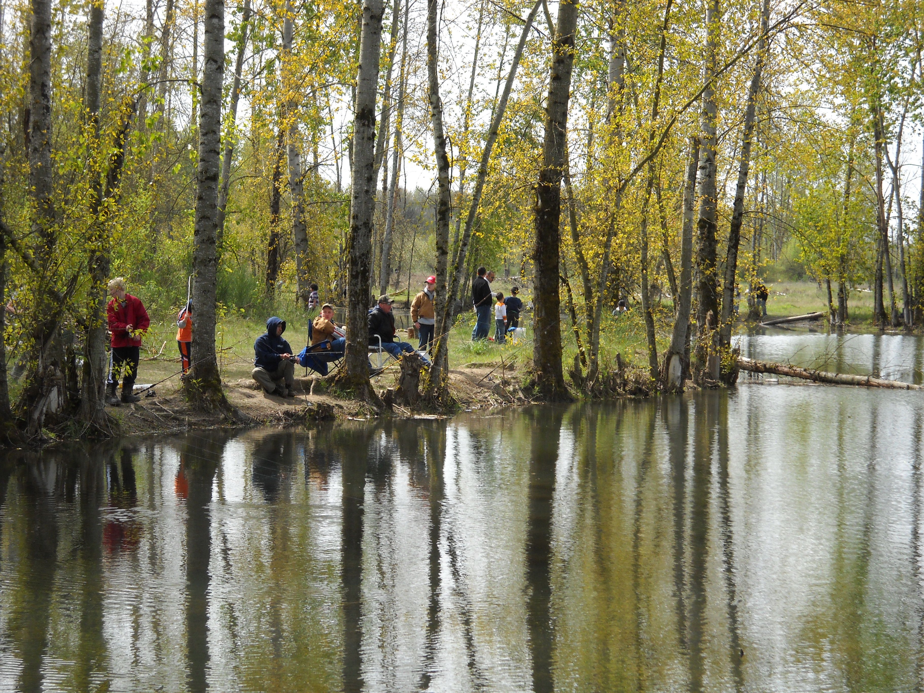 fishing, Fish, Sport, Water, Fishes, River, Lake, Autumn, Forest, Crowd Wallpaper