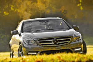 nature, Trees, Cars, Grass, Silver, Mercedes benz