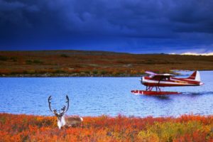 float, Planes, Caribou, Rivers