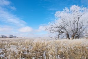 landscapes, Nature, Snow, Fields, National, Geographic