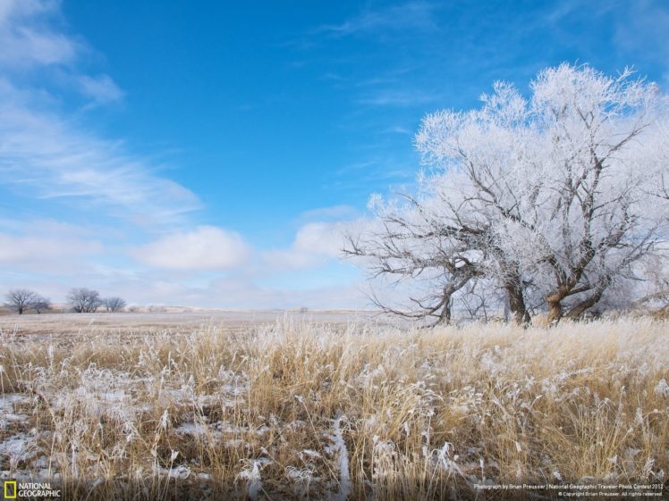 landscapes, Nature, Snow, Fields, National, Geographic HD Wallpaper Desktop Background