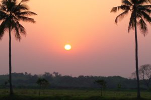 sunset, Landscapes, Nature, Sun, Scenic, Palm, Trees