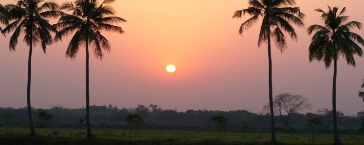 sunset, Landscapes, Nature, Sun, Scenic, Palm, Trees HD Wallpaper Desktop Background