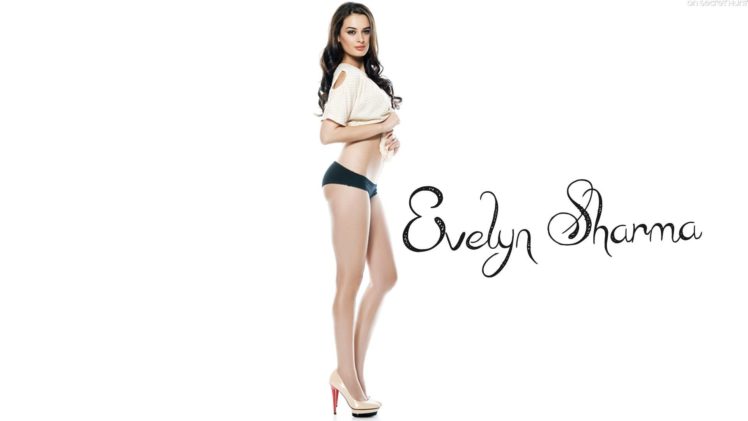 evelyn, Sharma, German, Indian, Actress, Model, Babe,  43 HD Wallpaper Desktop Background