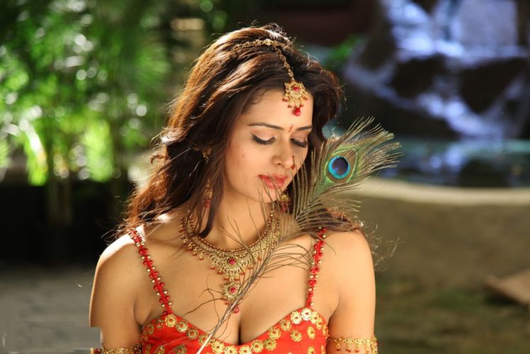 meenakshi, Dixit, Indian, Actress, Babe, Model,  6 HD Wallpaper Desktop Background