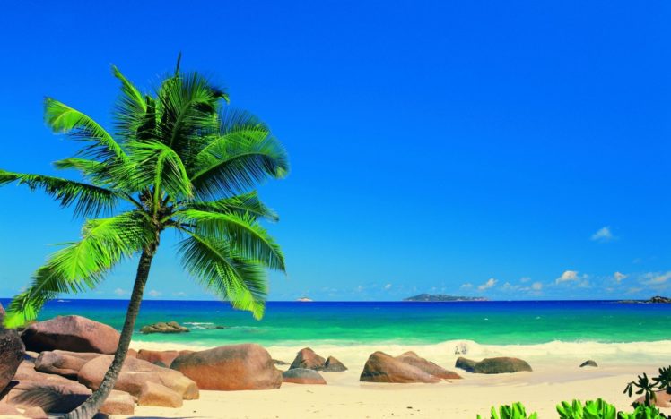 sand, Landscapes, Ocean, Sea, Palm, Trees, Sky, Tropical HD Wallpaper Desktop Background