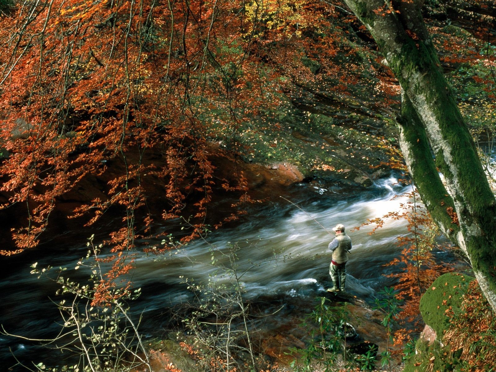 rivers Wallpaper