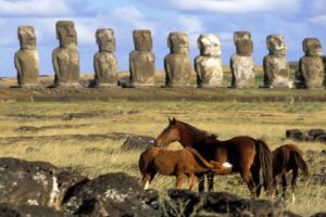 chile, Horses, Easter, Island, Moai