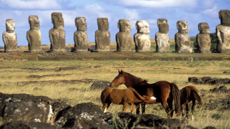 chile, Horses, Easter, Island, Moai HD Wallpaper Desktop Background