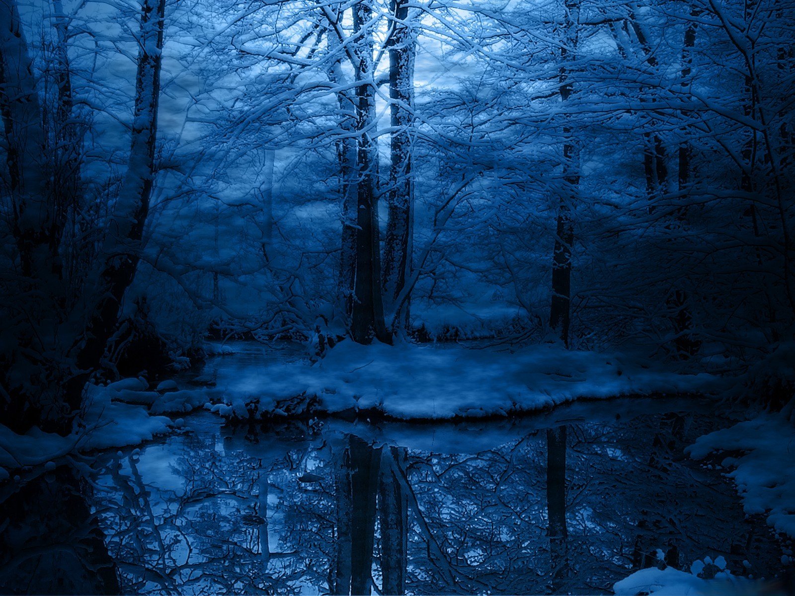 landscapes, Winter, Trees, Hdr, Photography Wallpaper