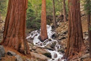 california, Waterfalls, National, Park