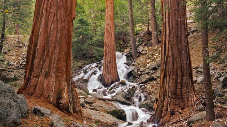 california, Waterfalls, National, Park HD Wallpaper Desktop Background