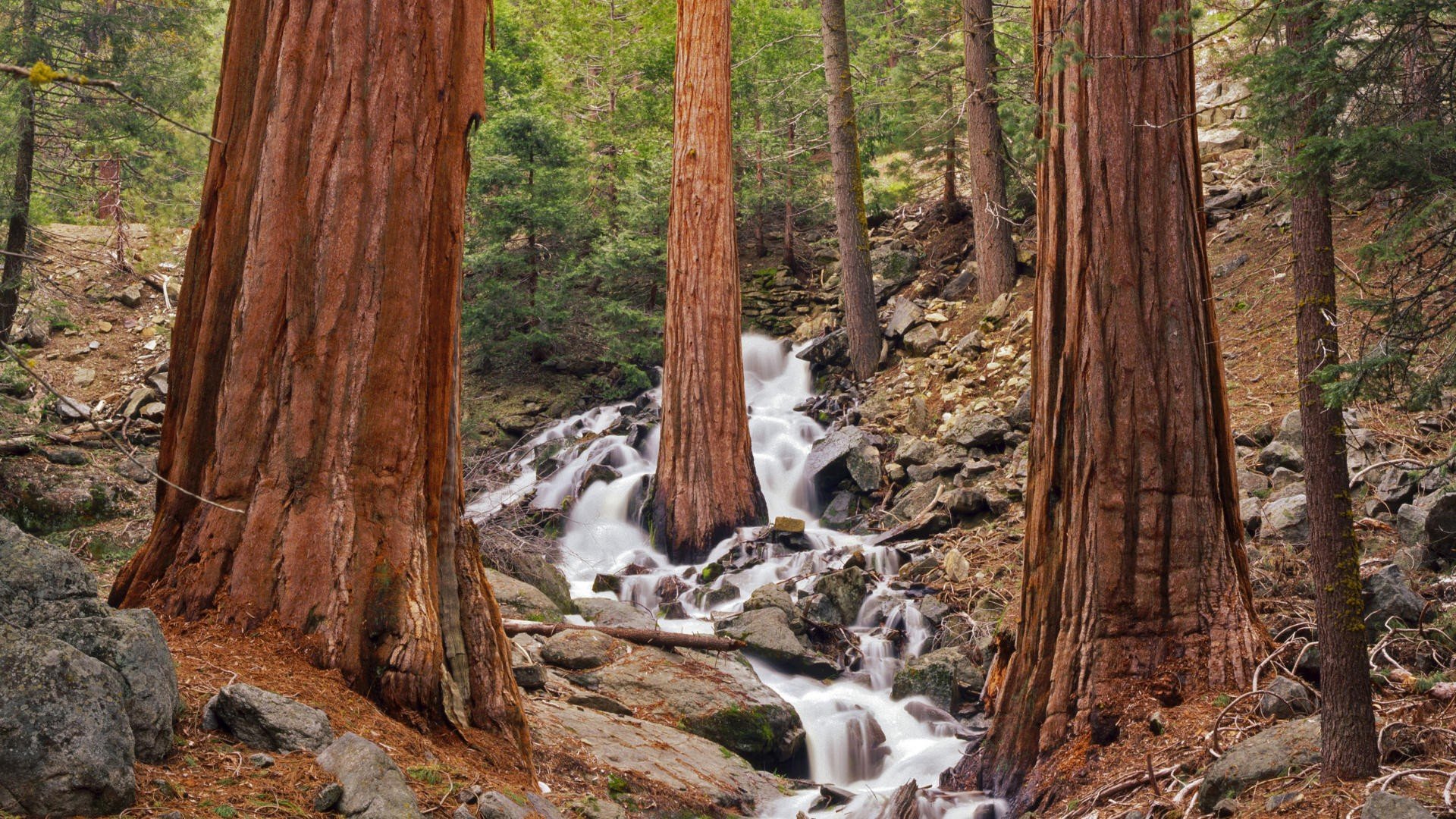 california, Waterfalls, National, Park Wallpaper