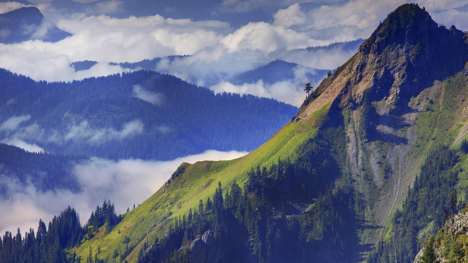 peak, Washington, Mount Wallpaper