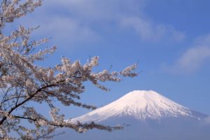 japan, Mount, Fuji, Sakura