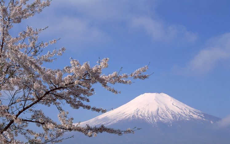japan, Mount, Fuji, Sakura HD Wallpaper Desktop Background