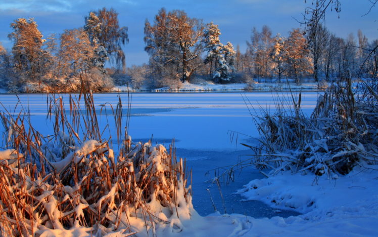 landscapes, Winter, Snow, Ice, Frozen, Shore, Beaches, Trees, Autumn, Fall HD Wallpaper Desktop Background