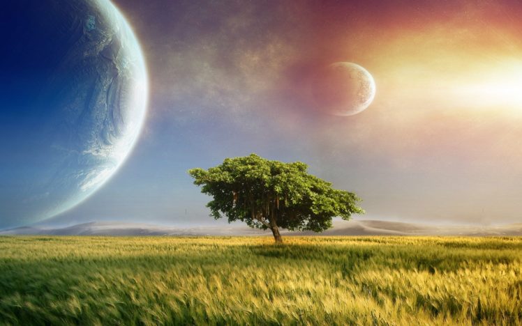 fantasy, Art, Cg, Digital, Landscapes, Fields, Grass, Trees, Sky, Sunset, Sunrise, Sci, Fi, Science, Planets, Moons HD Wallpaper Desktop Background
