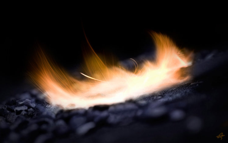 burning, Fire HD Wallpaper Desktop Background