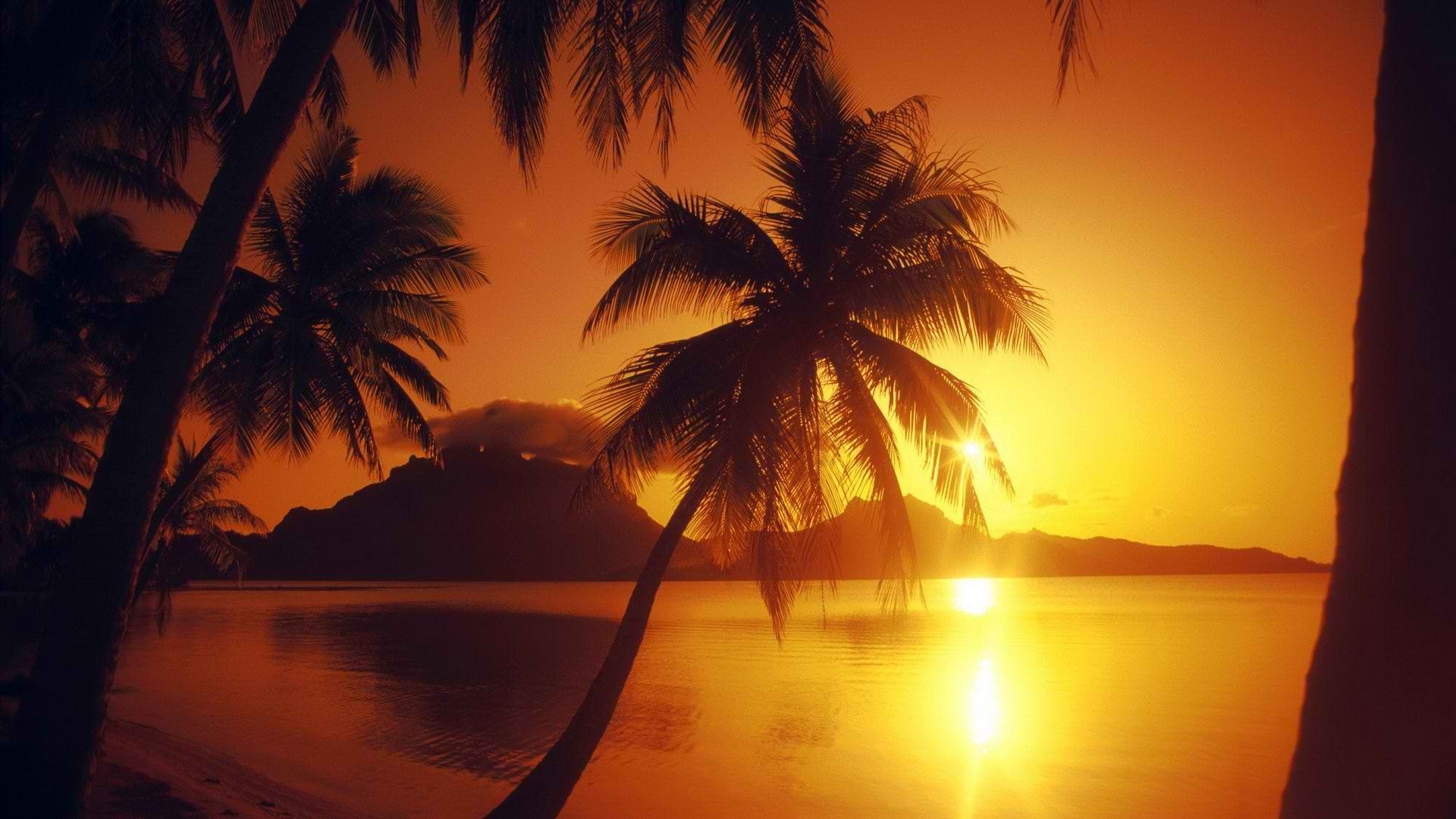 sunset Wallpaper