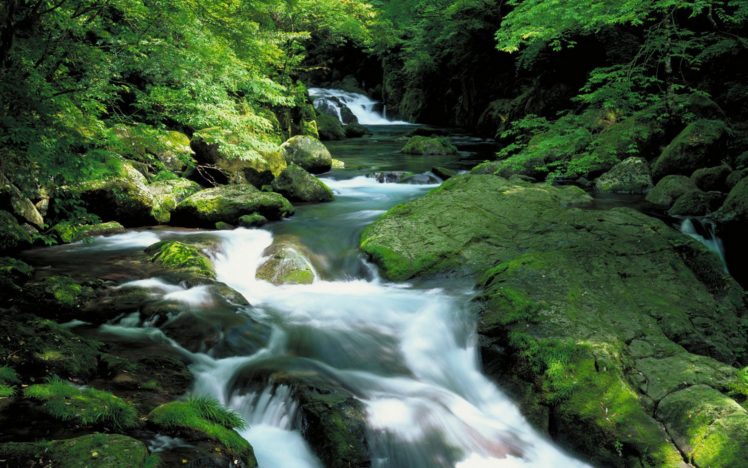 forests, Rocks, Waterfalls, Rivers, Rapids HD Wallpaper Desktop Background