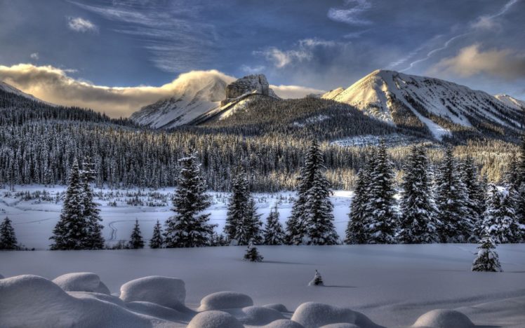 mountains, Landscapes, Nature, Trees HD Wallpaper Desktop Background