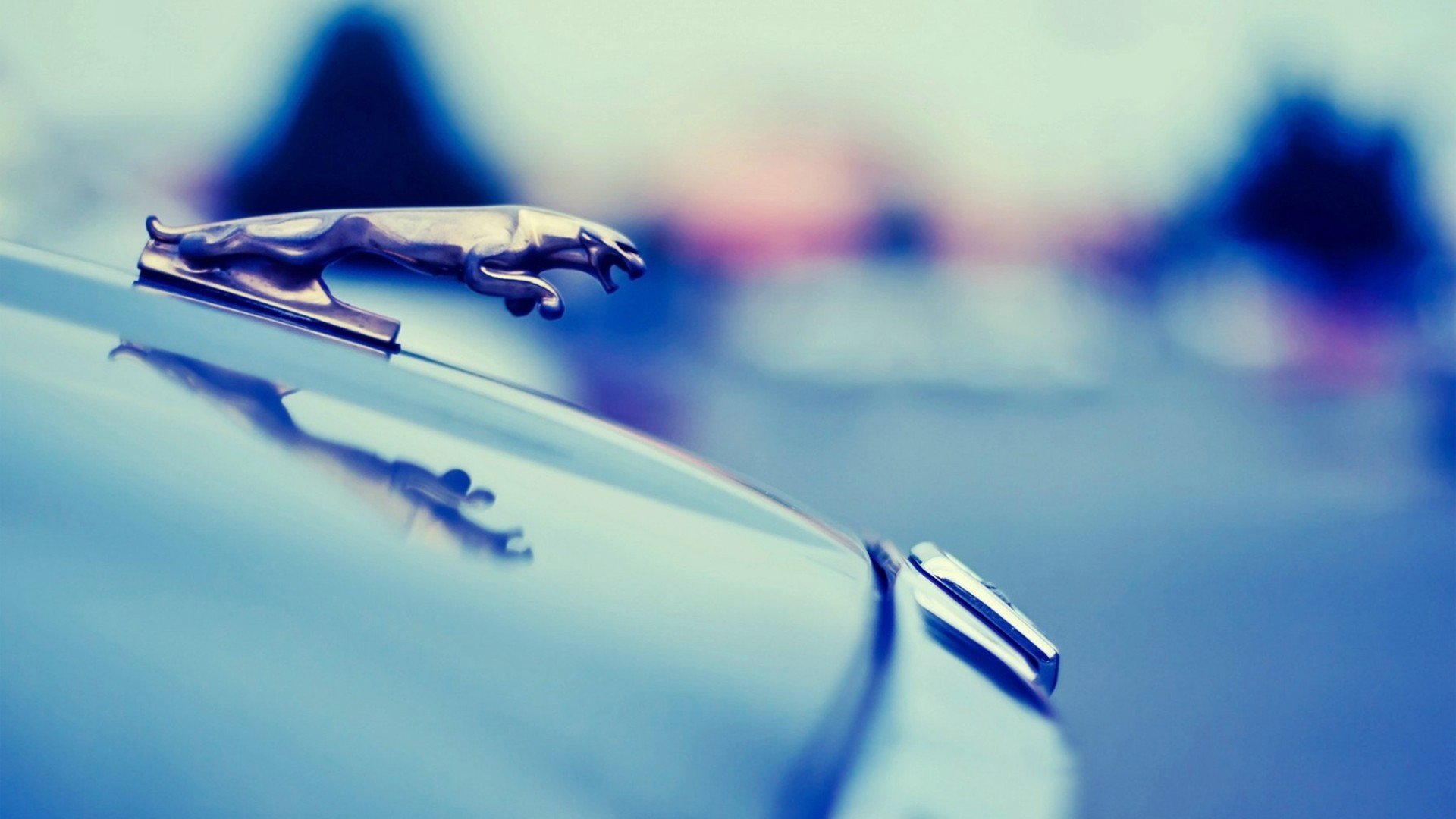 cars, Jaguar, Vehicles, Logos, Automobile Wallpaper