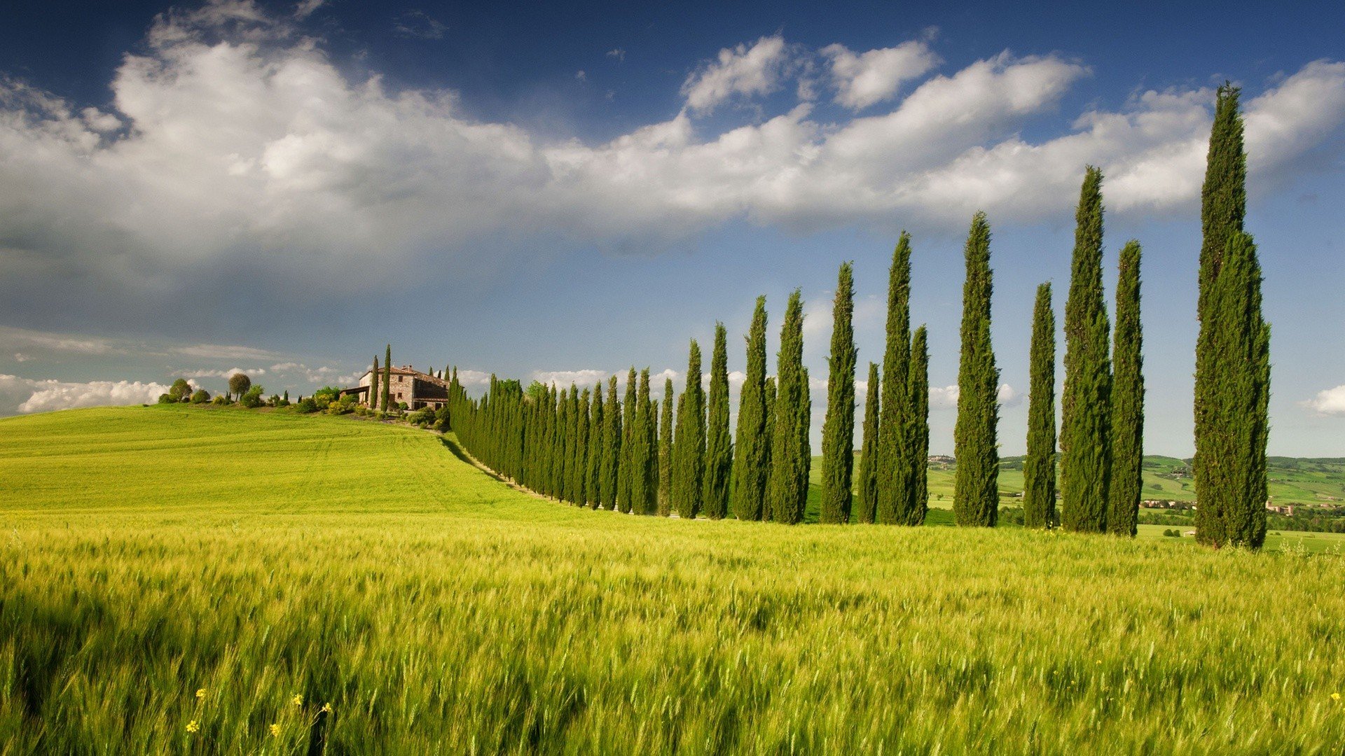 green, Landscapes, Nature, Fields, Spring, Italy, Tree, House, Sky, Campania, Cypress, Tree Wallpaper