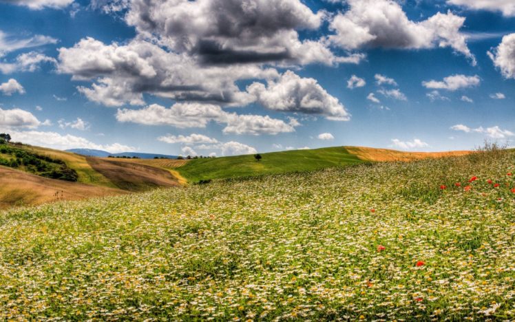 clouds, Landscapes, Nature, Fields, Skyscapes HD Wallpaper Desktop Background