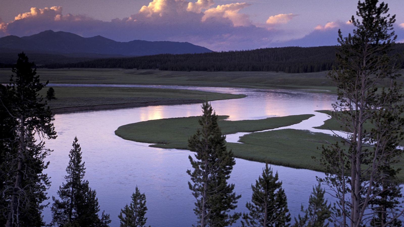 water, Landscapes, Nature, Trees Wallpaper