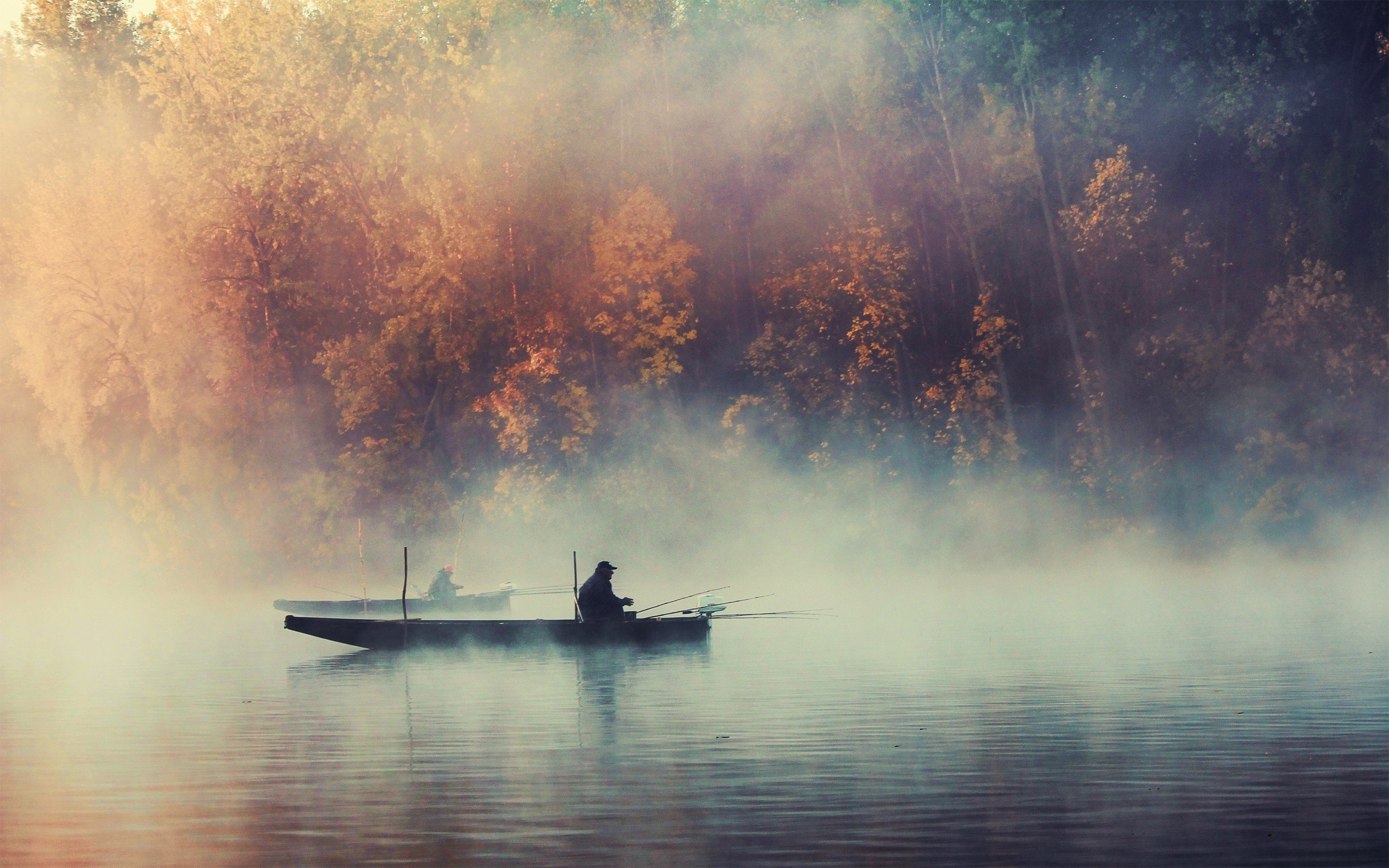 nature, Trees, Fog, Plants, Boats, Fishing, Lakes Wallpaper
