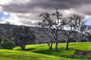 landscapes, Hdr, Photography