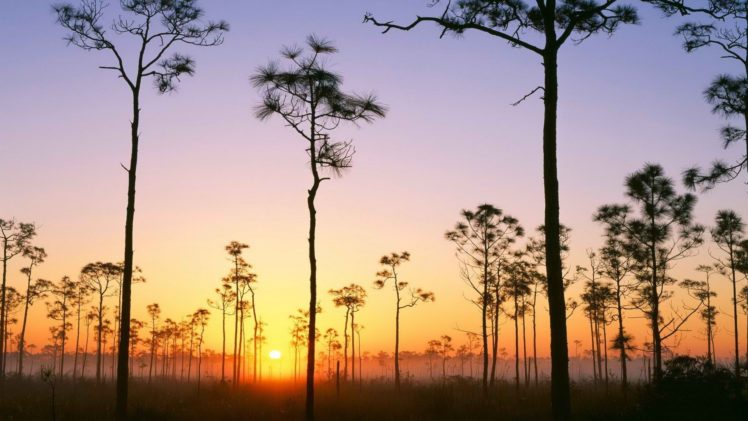 sunrise, Florida, National, Park HD Wallpaper Desktop Background