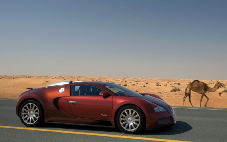 cars, Deserts, Bugatti, Camels, Roads HD Wallpaper Desktop Background