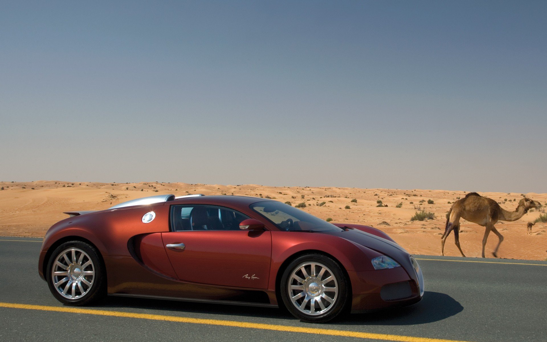 cars, Deserts, Bugatti, Camels, Roads Wallpaper