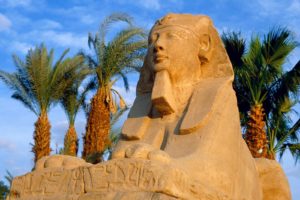 clouds, Egypt, Egyptian, Palm, Trees, Sphinx, Avenue, Luxor, Avenue, Of, Sphinxes
