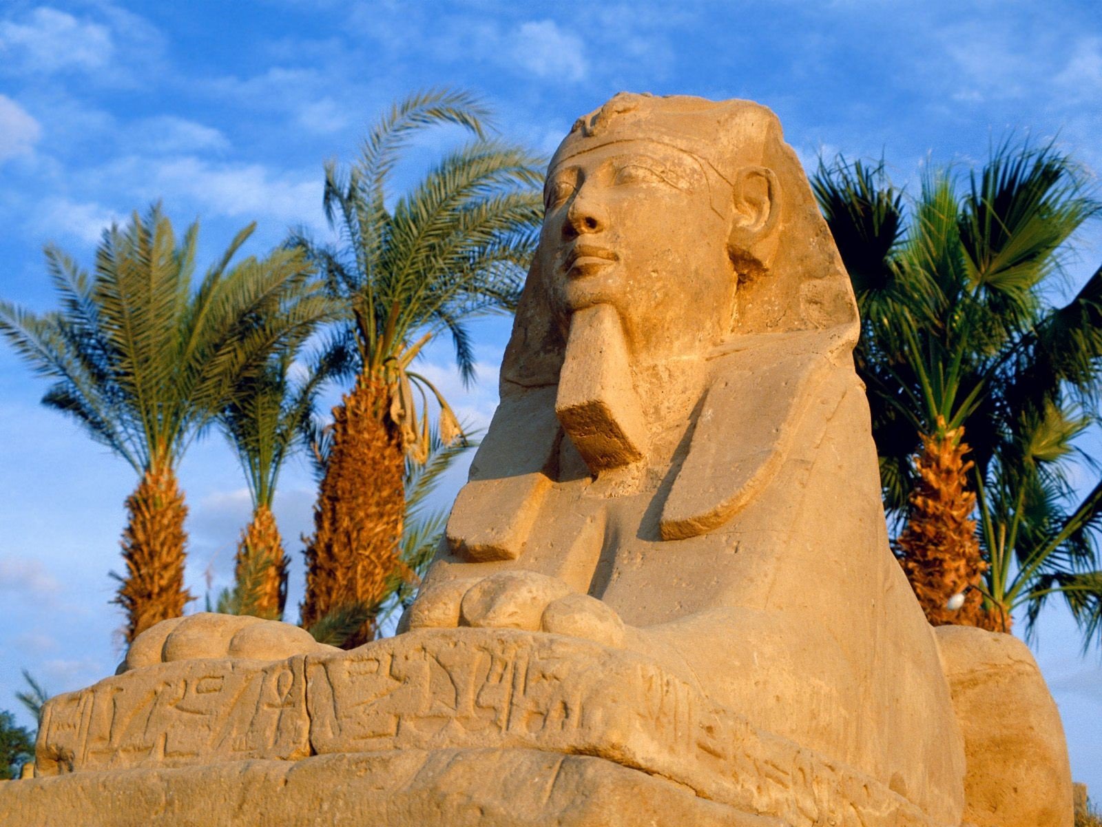 clouds, Egypt, Egyptian, Palm, Trees, Sphinx, Avenue, Luxor, Avenue, Of, Sphinxes Wallpaper